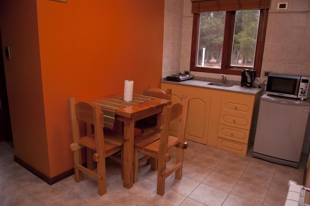 Apart Hotel Raices Patagonicas דינה הואפי מראה חיצוני תמונה